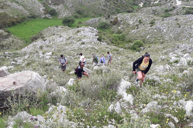 Corfu Countryside Hiking Tour - Inclusions and Logistics