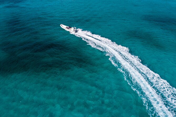 Cozumel Starfish and Tropical Reef Snorkeling by Powerboat With Lunch - Itinerary Highlights