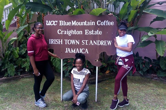 Craighton Blue Mountain Coffee Tasting & Farm Tour From Port Royal Cruise Port - Inclusions