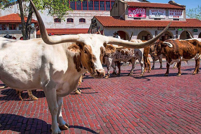 Create Your Own Dallas and Fort Worth Combination Tour - JFK Assassination Historical Insights