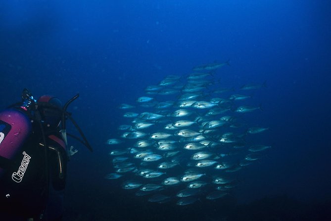 Crete Introductory Scuba Diving Experience - Program Details