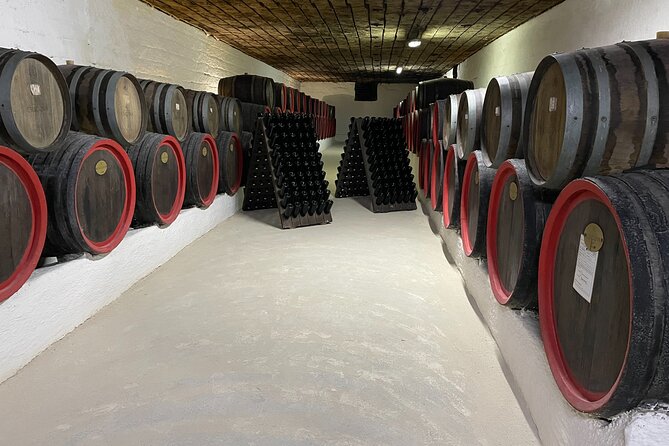 Cricova Cellars - Visit and Tasting Session - The Wine Tasting Experience