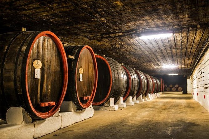 Cricova Winery With Tasting - Itinerary Highlights
