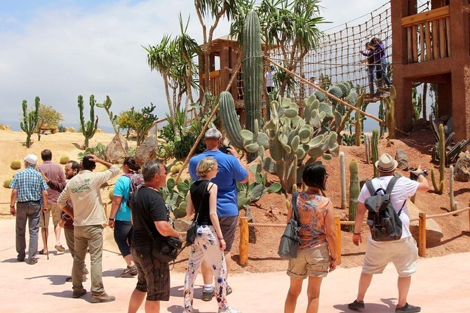 Crocopark Visit (Transport Included) - Inclusions and Pickup