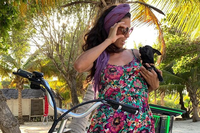 CRUISE GUEST Electric Bike - Experience and Reviews