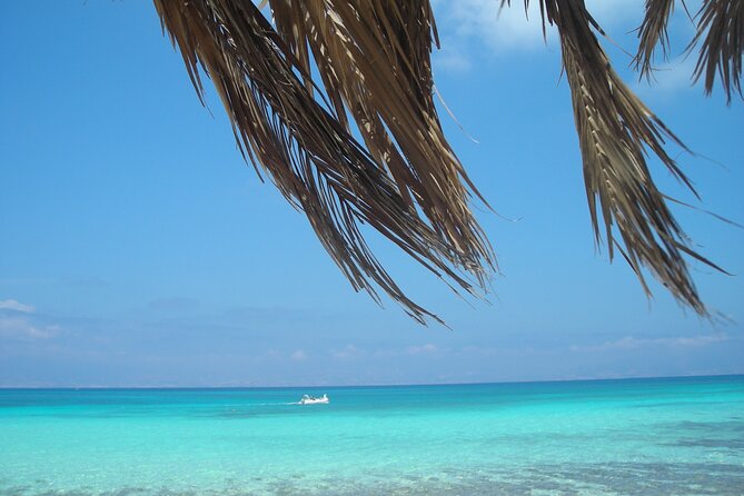 Cruise to Chrissi Island With Lunch Included - Inclusions