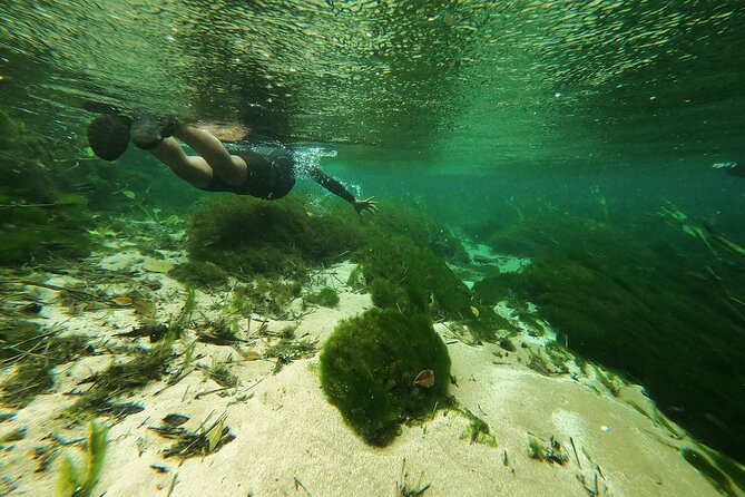 Crystal Clear Adventure: Floating Through the Sucuri River - Inclusions