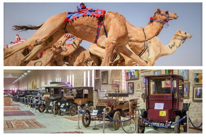 Cultural & Thrills: Sheikh Faisal Museum & Camel Race Adventure - Sheikh Faisal Museum Highlights