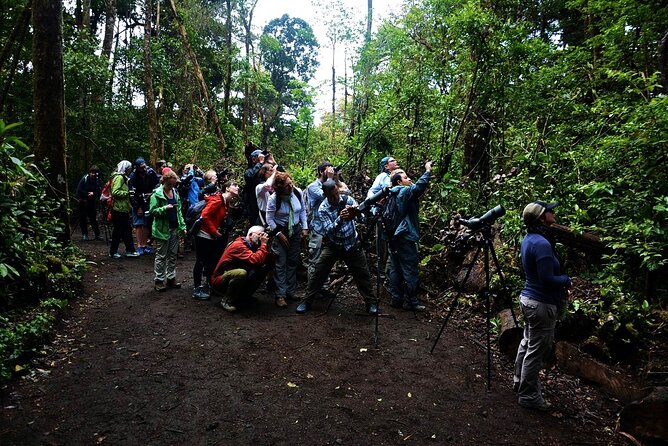 CuriCancha Reserve Admission Ticket - Included Services