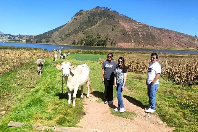 Cusco ATV (Quad Bikes) Full Day Tour - Inclusions