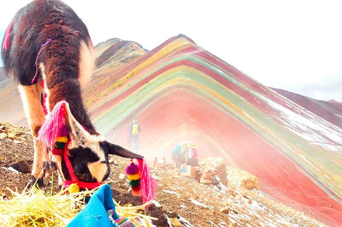 Cusco, Sacred Valley, Machu Picchu, Rainbow Mountain, Humantay Lake - Health and Safety Considerations