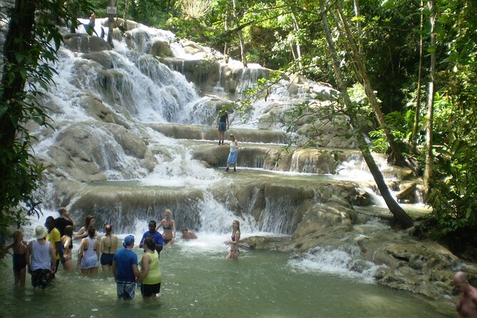 Custom COMBO to Mystic Mountain, Dunns River Falls & Blue Hole - Exploring Mystic Mountain