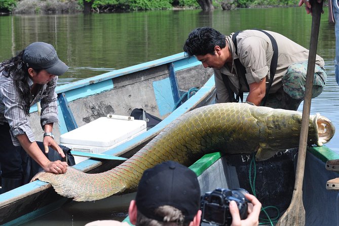 Cuyabeno 4 Day Jungle Tour - Navigating the Cuyabeno River System