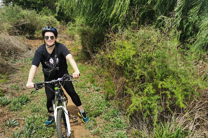 Cycling in a Forest Close to Johannesburg and Pretoria - Exploring the Cycling Trails