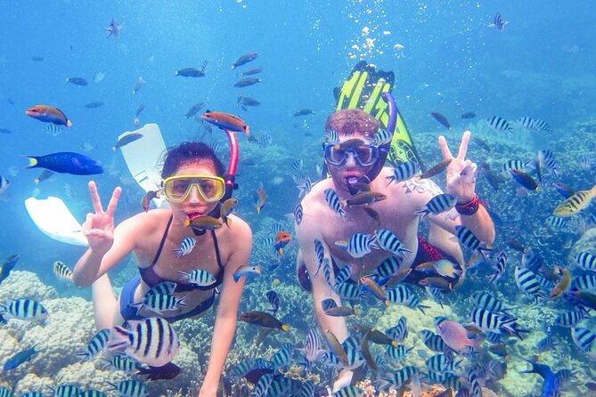 Da Nang/Hoi An: Cham Island Snorkeling, Sunbathing, Nice Beaches - Tour Highlights and Experiences