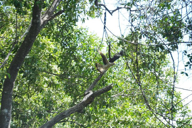Damas Island by Boat Tour From Manuel Antonio - Included in the Tour