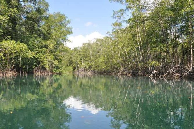 Damas Island Kayaking Tour From Manuel Antonio - Health and Safety Considerations