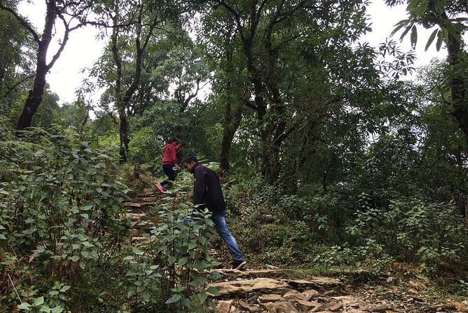 Day Hiking to Dhampus - Astam Village - Pricing and Group Options