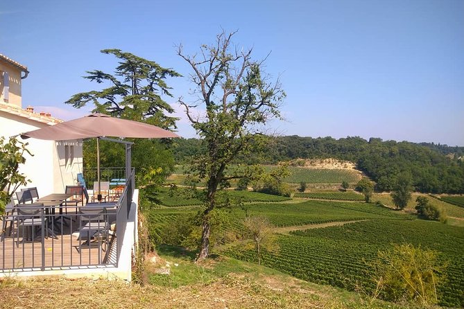 Day in Saint-Emilion - Medieval Village and Wine Tasting - Schedule and Availability