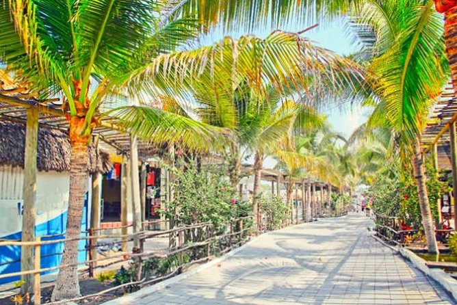 Day Tour Between Mangroves, Fishing & Black Sand Beach Activities + Lunch - Pickup and Timing