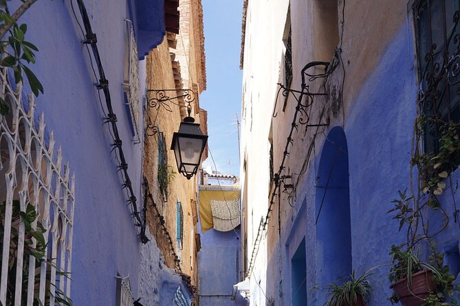 Day Tour in Blue City of Chefchaouen - Highlights of the Day Tour