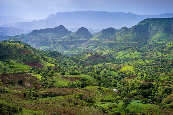 Day Trek to Simien Mountain - Whats Included in the Tour