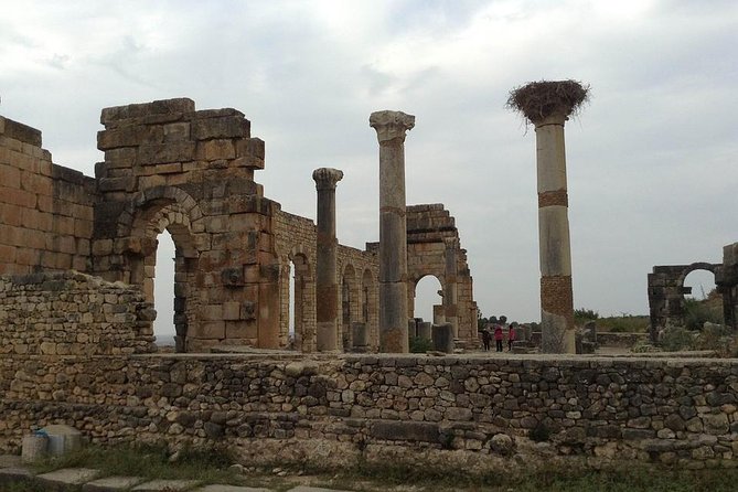 Day Trip From Fes to Volubilis Moulay Idriss & Meknes - Transportation and Experience