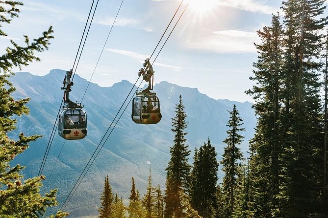 Day Trip to Banff, Gondola, Johnston Canyon From Calgary, Banff - Transportation and Accessibility