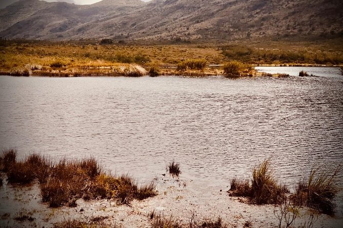 Day Trip to El Verjon Paramo, Moorland—Matarredonda Park - Exploring the El Verjon Paramo