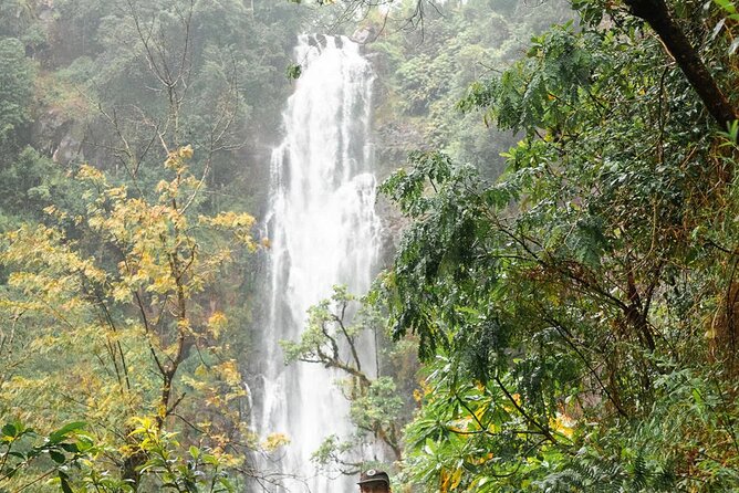 Day Trip to Materuni Waterfall, Coffee Tour and Moshi Nightlife - Moshi Nightlife Experience
