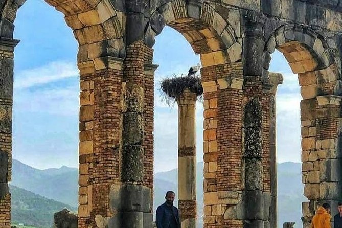 Day Trip To : Volubilis / Moulay Idriss / Mekness - Discovering the Spiritual Heritage of Moulay Idriss