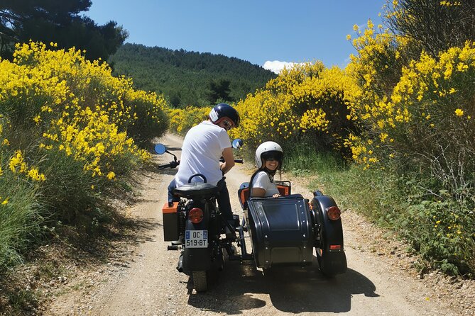Day: Wine-Tour in Provence - Insider Tips for Travelers