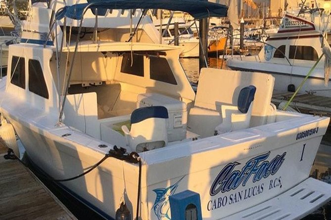 Deep Sea Fishing for 5 Hours From Cabo San Lucas - Fishing Licenses and Activity Confirmation