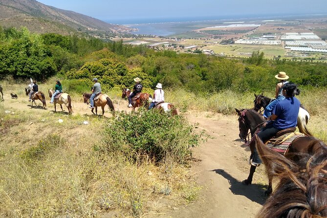 Desert Peaks on Horseback, Exploring Mountain Trails of Ensenada - Meeting and Pickup Information