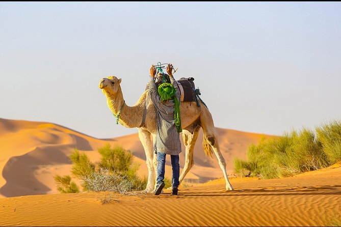 Desert Tour Ouarzazate CHEGAGA 2 Days/ 1 Night - Inclusions and Pickup