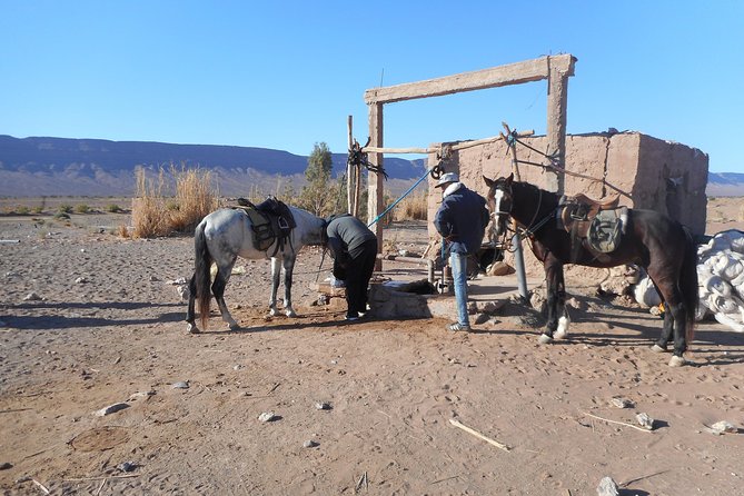 Desert Trail in Morocco on Horseback - Meeting and Pickup Details
