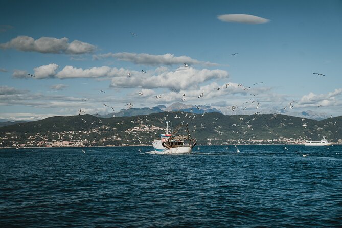 Didi Boat Tour With Davide-Explore the Island and Portovenere - Inclusions