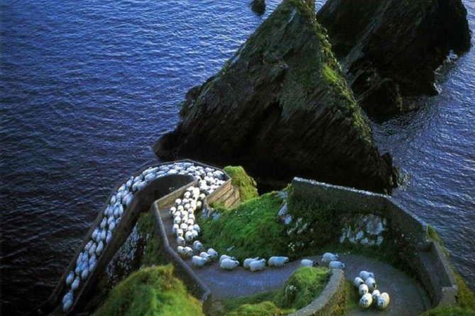 Dingle Peninsula Day Tour From Killarney: Including the Wild Altanic Way - Itinerary Highlights