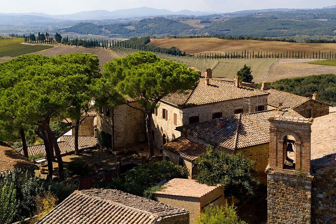 Discover Montalcino Through Its Best Productions: Brunello & Saffron!! - Rosso Di Montalcino Tasting