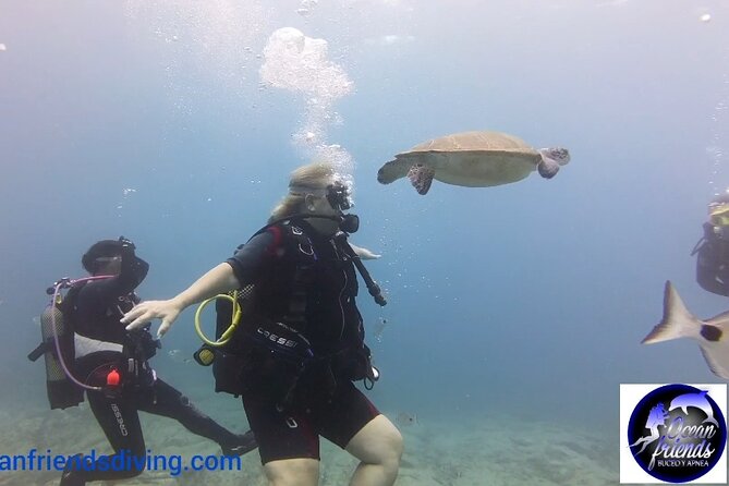 Discover Scuba Diving, Free Pictures Included - Cancellation Policy and Pricing