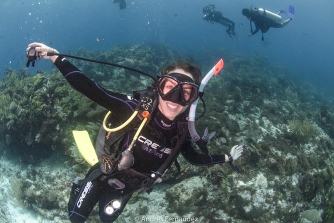 Discover Scuba ,Musa and Manchones Reef Dive Without License - Meeting and Pickup Details
