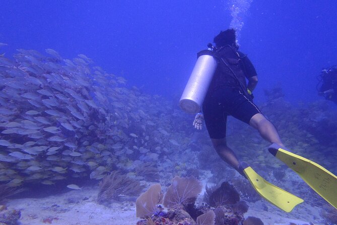 Discover Scuba - Audience and Packages