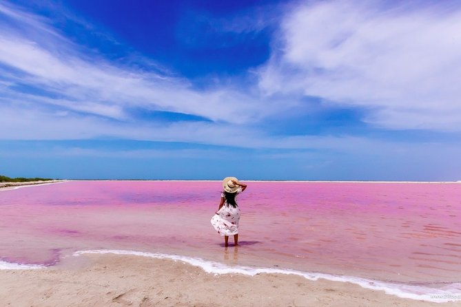 Discover the FABULOUS PINK WATERS in the Caribean (Las Coloradas+Río Lagartos) - Pickup and Schedule