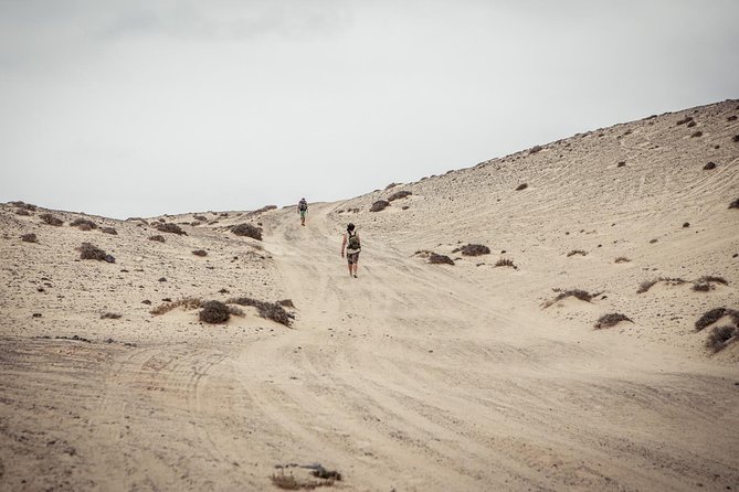 Discover the Real Fuerteventura: Extraordinary Paths Surrounded by Nature - Guided Tours With Knowledgeable Guides