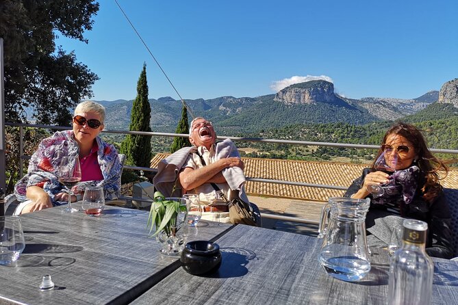 Discover the Varieties of Wines, Olive Oil and Food on Mallorca - Positive Guest Experiences