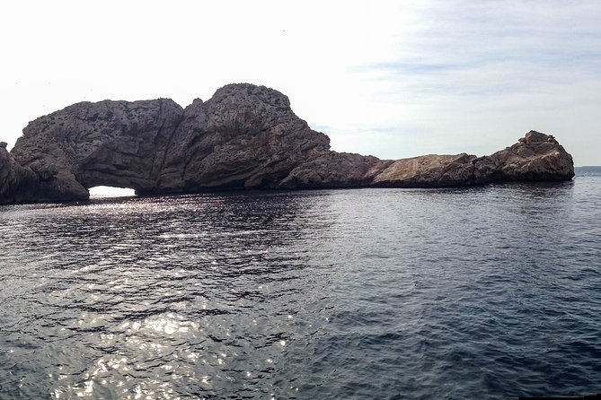 Discover the Wildest Side of Ibiza Sailing Through the North of the Island - Exploring Secluded Coves