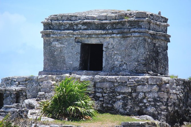 Discover Tulum, Visit Coba and Swim in a Real Mayan Cenote and Playa Del Carmen - Tour Experience and Feedback