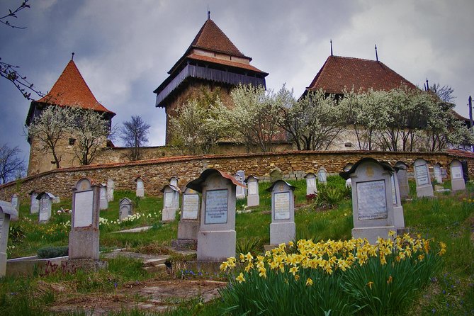 Discover Unesco Heritage From Romania in 11 Days Private Guided Tour - Pricing Information