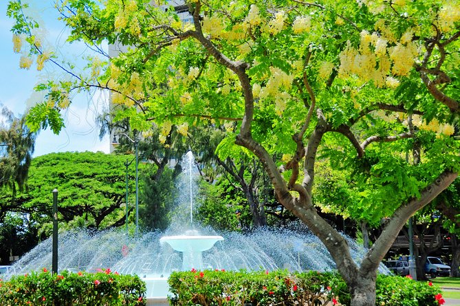 Discover Waikiki. Guided 1hr45m Signature Hoverboard Tour - Inclusions and Features