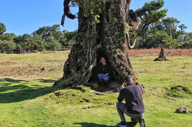 Discovering Northwest Madiera Shore Excursion W/ Harbour Pickup - Inclusions and Costs